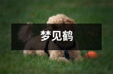 <h3>梦见鹤