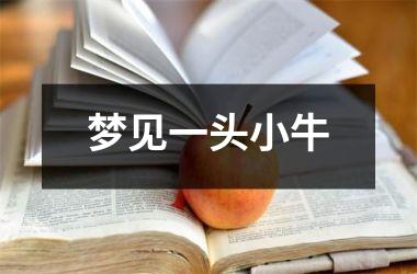 <h3>梦见一头小牛