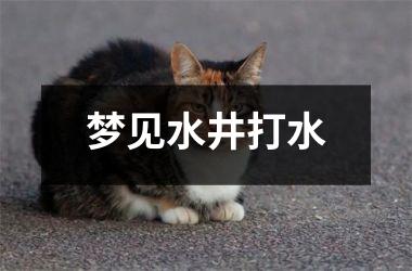 <h3>梦见水井打水