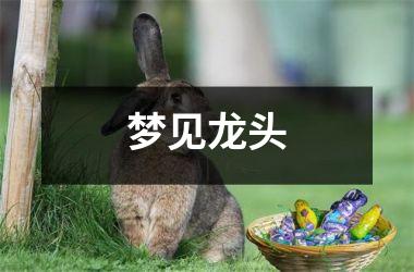 <h3>梦见龙头