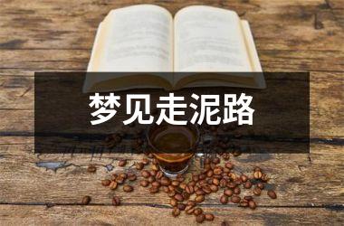 <h3>梦见走泥路