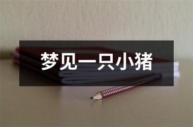 <h3>梦见一只小猪