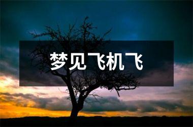 <h3>梦见飞机飞