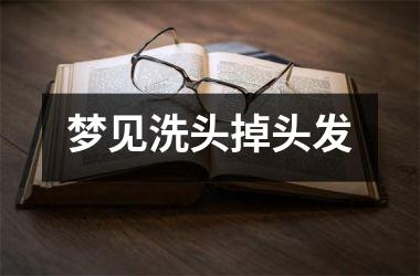 <h3>梦见洗头掉头发