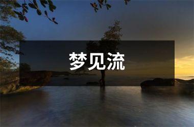 <h3>梦见流