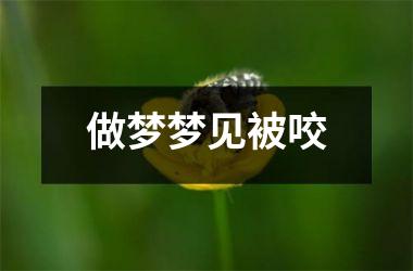<h3>做梦梦见被咬