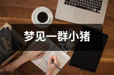 <h3>梦见一群小猪