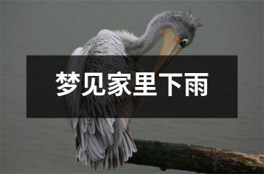 <h3>梦见家里下雨