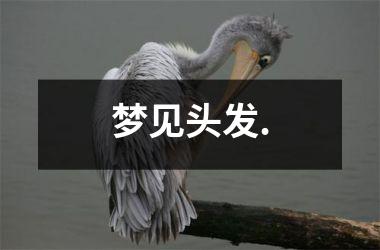 梦见头发.