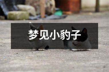 <h3>梦见小豹子