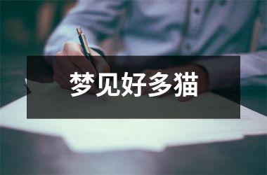 <h3>梦见好多猫