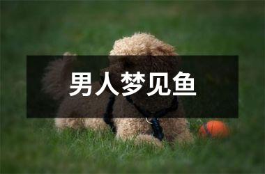<h3>男人梦见鱼