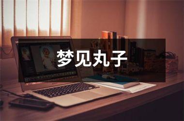 <h3>梦见丸子