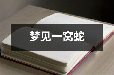 <h3>梦见一窝蛇