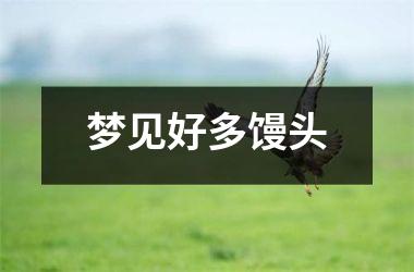 <h3>梦见好多馒头