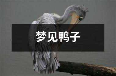<h3>梦见鸭子
