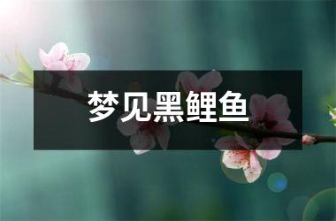 <h3>梦见黑鲤鱼