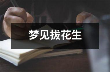 <h3>梦见拔花生