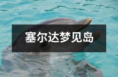 <h3>塞尔达梦见岛