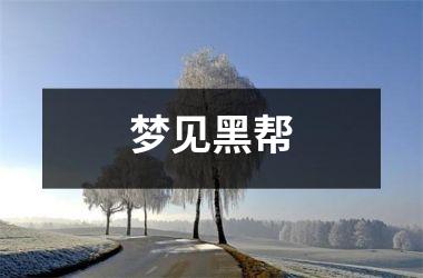 <h3>梦见黑帮
