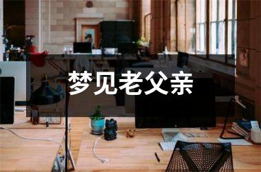 <h3>梦见老父亲