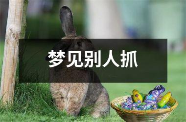 <h3>梦见别人抓