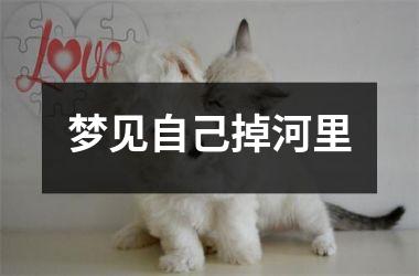 <h3>梦见自己掉河里