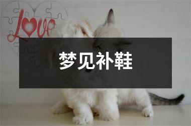 <h3>梦见补鞋