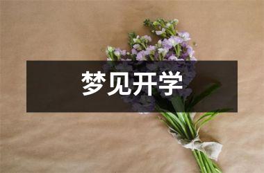 <h3>梦见开学