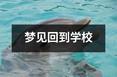 <h3>梦见回到学校