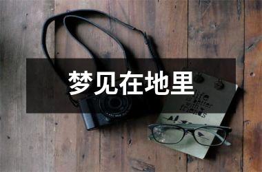<h3>梦见在地里