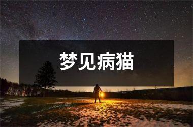<h3>梦见病猫