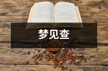 梦见查
