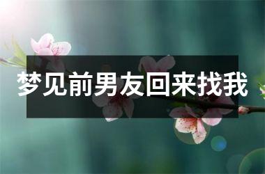 <h3>梦见前男友回来找我