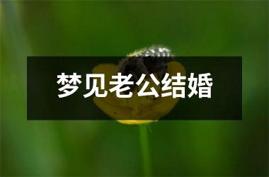 <h3>梦见老公结婚
