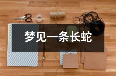 <h3>梦见一条长蛇