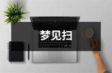 <h3>梦见扫