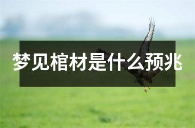 <h3>梦见棺材是什么预兆