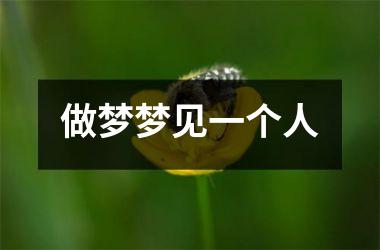 <h3>做梦梦见一个人