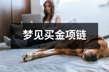 <h3>梦见买金项链