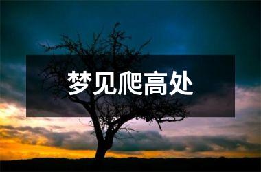 <h3>梦见爬高处