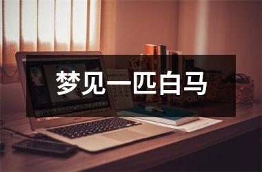 <h3>梦见一匹白马