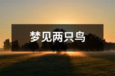 梦见两只鸟