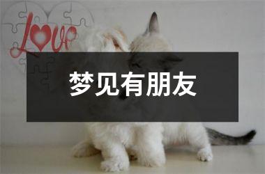 <h3>梦见有朋友