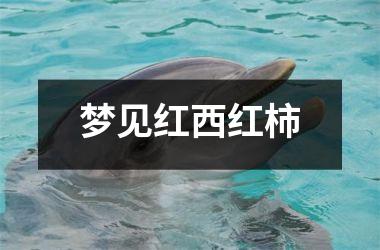 <h3>梦见红西红柿
