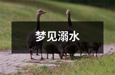 <h3>梦见溺水
