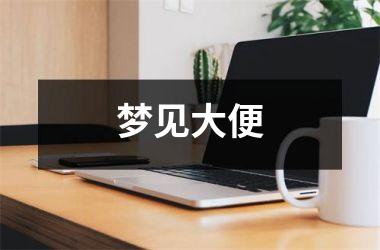 <h3>梦见大便