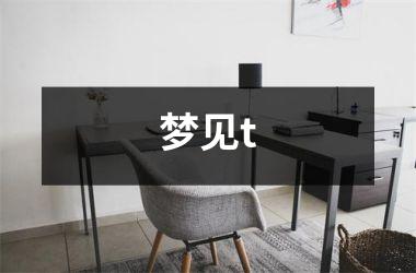 梦见t