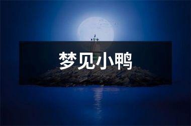 <h3>梦见小鸭