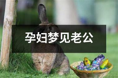 <h3>孕妇梦见老公